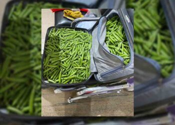 arun bothra jaipur airport viral