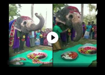 জন্মদিনের শুভেচ্ছা তোমায়