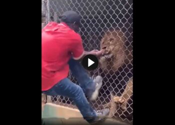 আজব নেশায় খোয়া গেল আঙুল, দেখুন ভাইরাল ভিডিও