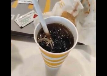 নামী সংস্থার সফট ড্রিংকসে পাওয়া গেল টিকটিকি