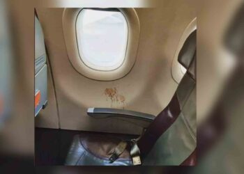 তা বলে বিমানের ভিতরে ! সভ্য সমাজের লজ্জা