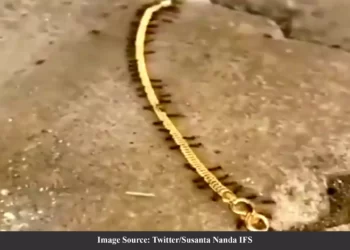 দশে মিলে করি কাজ হারি জিতি নাহি লাজ