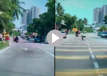 মাথায় নারকেল পড়ে রাস্তায় লুটিয়ে পরলেন বাইক আরোহী