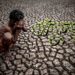 Bankura-drought-weather-update
