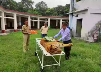 মৃত্যু হল ভারতের সব চেয়ে বয়স্ক ‘রাজা’-র