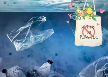 আজ থেকে সারা দেশে প্লাস্টিক ব্যবহারে নিষেধাজ্ঞা জারি