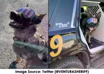 গরমে এবার পুলিশ কুকুরদের পায়ে জুতো এবং চোখে সানগ্লাস