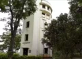 Joypur Forest spreads even deeper