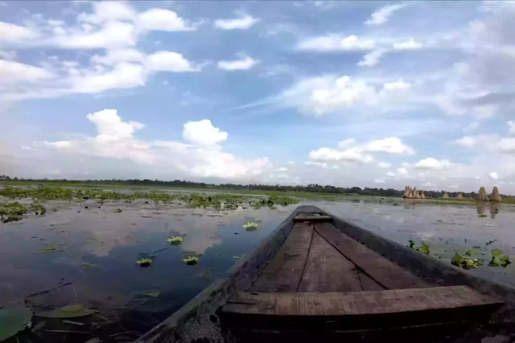 Travel- শাপলা ফুলে ভরা বর্তির বিল যেন বাংলার ডাল লেক !