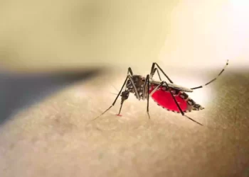 student dies of dengue in kolkata