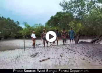 Bhagbatpur, Safe Haven of Saltie Crocs