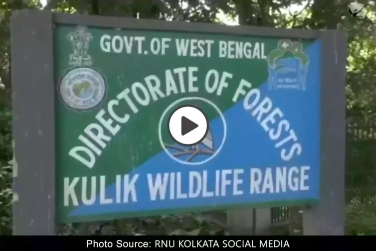 kulik-forest-raiganj
