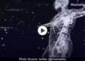 MIT-invention-smart-dress-can-measure-physical-activities