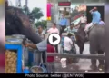 viral-video-Elephant-Eating-Panipuri