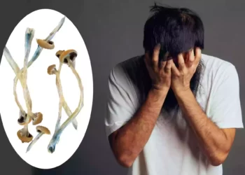 Magic-mushroom-compound-shows-promise-as-depression-treatment-in-key-study