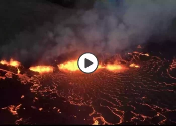 Mauna-Loa-the-worlds-largest-active-volcano-began-erupting
