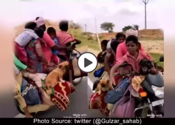 viral-video-bike-with-7-person-with-hen-and-dog